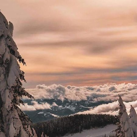 Apartments Zivkovic, Milmari D Kopaonik Dış mekan fotoğraf