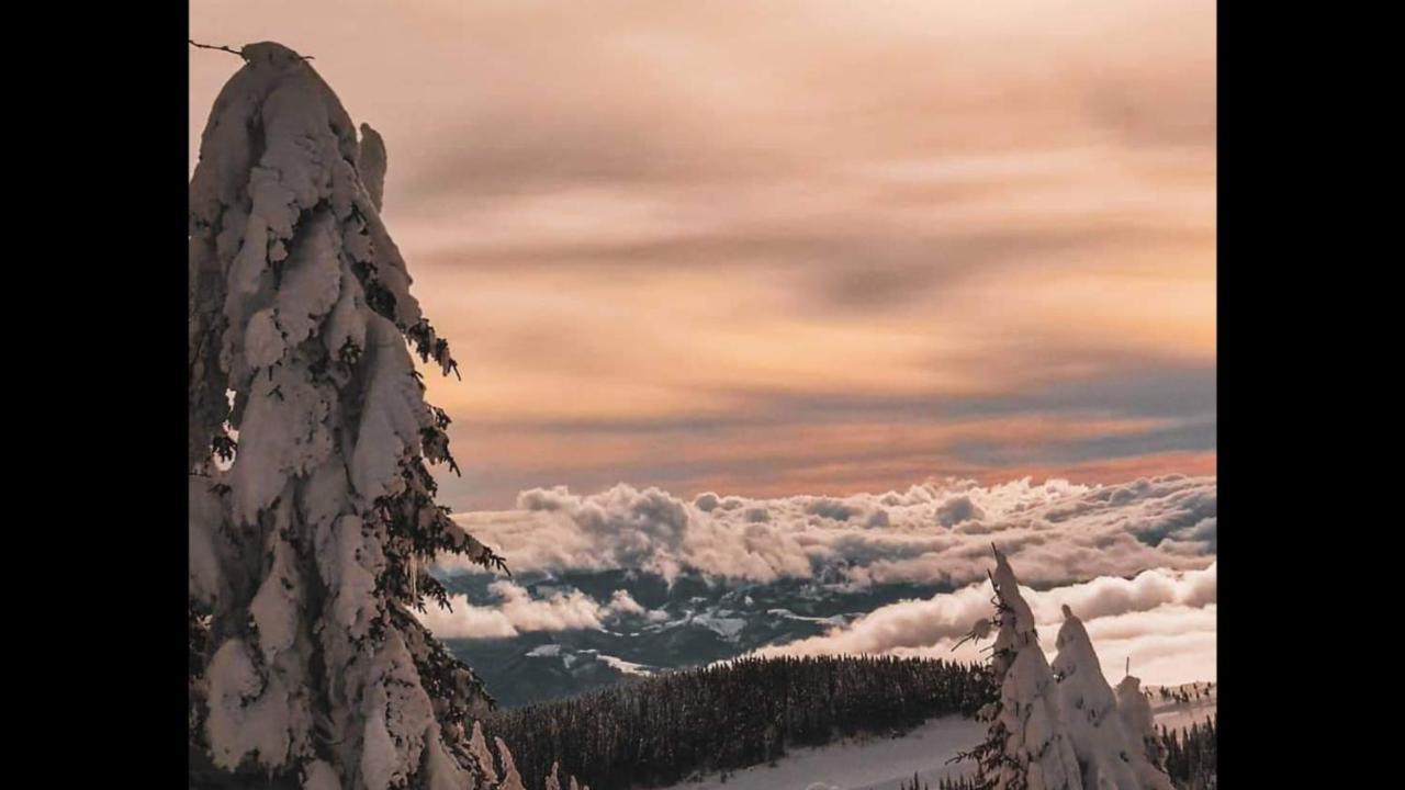 Apartments Zivkovic, Milmari D Kopaonik Dış mekan fotoğraf